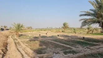 زائران حسینی در طریق العلما