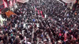 نمایی از خیل جمعیت حاضر در حرم آقا امام حسین علیه السلام در صفوف نماز جماعت