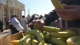 تعارف موز به زوار پیاده امام حسین علیه السلام