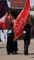 استوری ST-001001200018-1